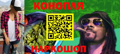 индика Беслан