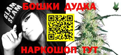 индика Беслан