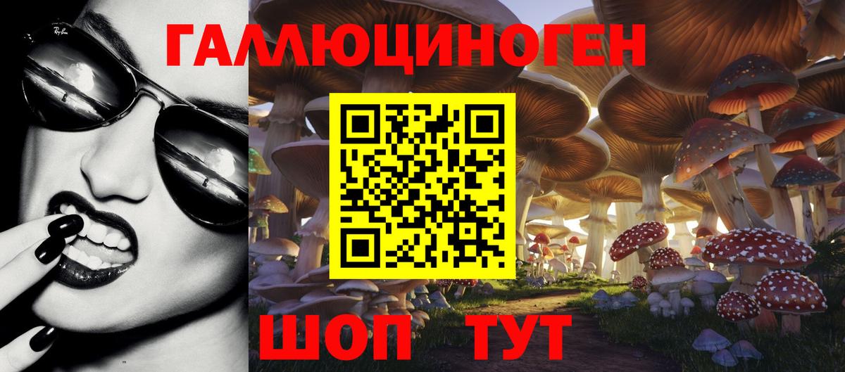 Галлюциногенные грибы мицелий Будённовск